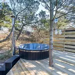 Semesterbostad 117-ringkobing-spaettedalen-1 *